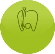 Endodontics - OLALLA ROBLES MINGORANCE 